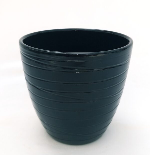 POWERS TO FLOWERS - TILLANDSIA CYANEA COLOR LIFE BLU, IN VASO CERAMICA, pianta vera - immagine 4