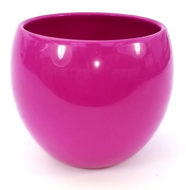 POWERS TO FLOWERS - CICLAMINO PICASSO IN VASO CERAMICA ROSA SFERICO, VASO 12CM, pianta vera - immagine 6