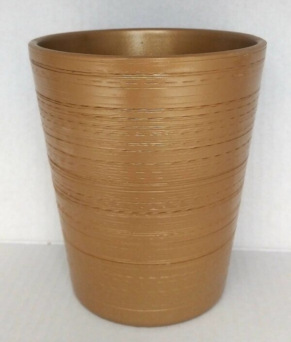 POWERS TO FLOWERS - PEPEROMIA HAPPY BEAN, IN VASO CERAMICA ORO, VASO 13CM, pianta vera - immagine 4