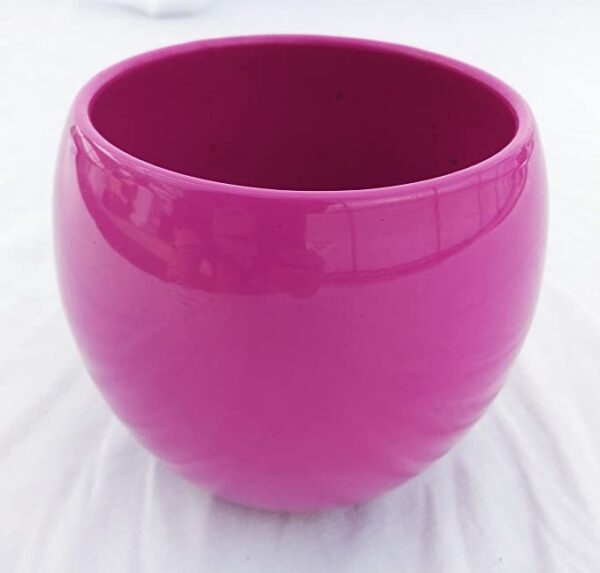 POWERS TO FLOWERS - TRADESCANTIA NANOUK XL IN VASO CERAMICA FUCSIA SFERICO, pianta vera - immagine 4