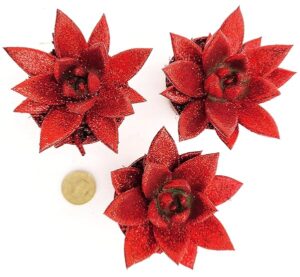 POWERS TO FLOWERS - ECHEVERIA MINI ROSSO GLITTERATE, 3 PIANTE, VASO 7CM DIAMETRO, piante vera