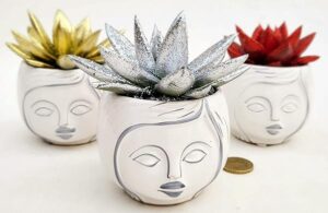 POWERS TO FLOWERS - ECHEVERIA TRIS: BRONZO, ORO e ARGENTO GLITTERATE, IN VASO SIGNORINA, piante vere