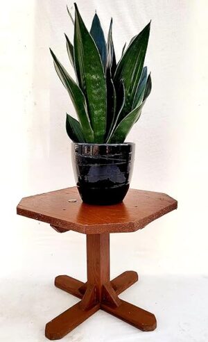 POWERS TO FLOWERS - SANSEVERIA LAURENTII BLACK DIAMOND XXL IN VASO CERAMICA NERO, VASO 20CM DIAMETRO, ALTEZZA 50CM, pianta vera