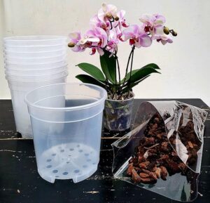 POWERS TO FLOWERS - VASI 15CM DIAMETRO TRASPARENTI PER ORCHIDEE PHALAENOPSIS, 10 PEZZI, PIU' TERRA PER IL RINVASO