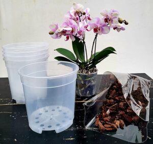POWERS TO FLOWERS - VASI 15CM DIAMETRO TRASPARENTI PER ORCHIDEE PHALAENOPSIS, 5 PEZZI, PIU' TERRA PER IL RINVASO