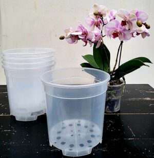 POWERS TO FLOWERS - VASI 21CM DIAMETRO TRASPARENTI PER ORCHIDEE PHALAENOPSIS, 5 PEZZI